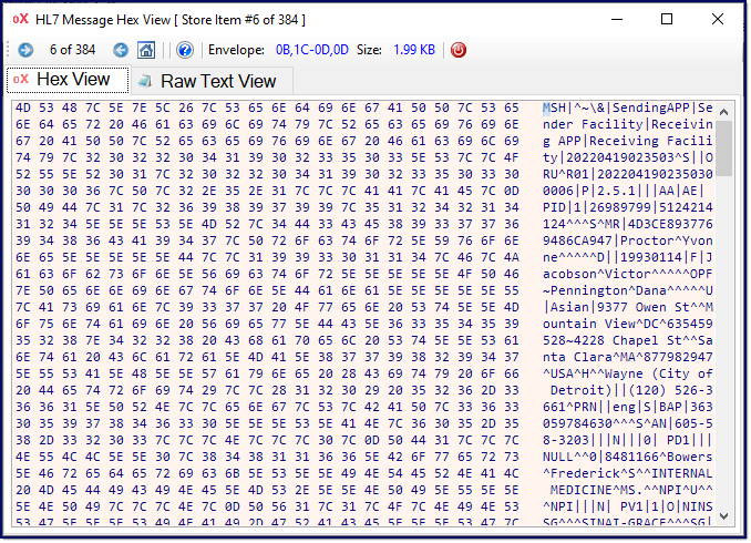 Hexadecimal View Hexadecimal View
