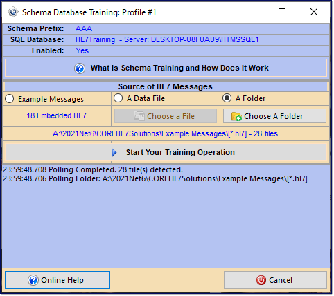 Schema Training (Manual) Schema Training (Manual)