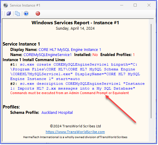 Services Report
