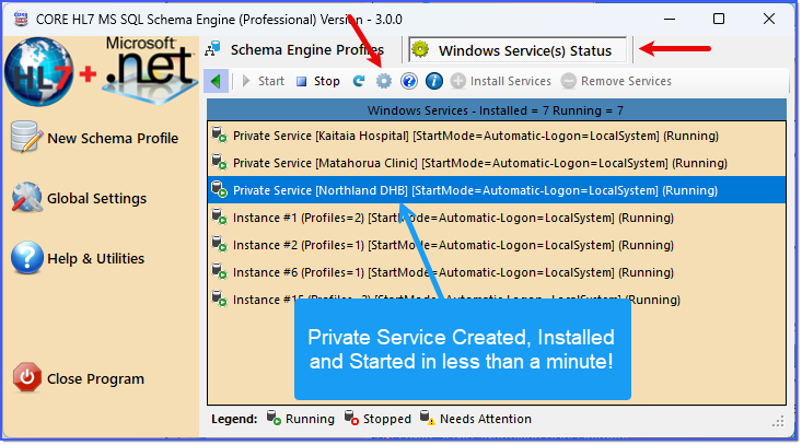 Private Service Is Running Private Service Is Running