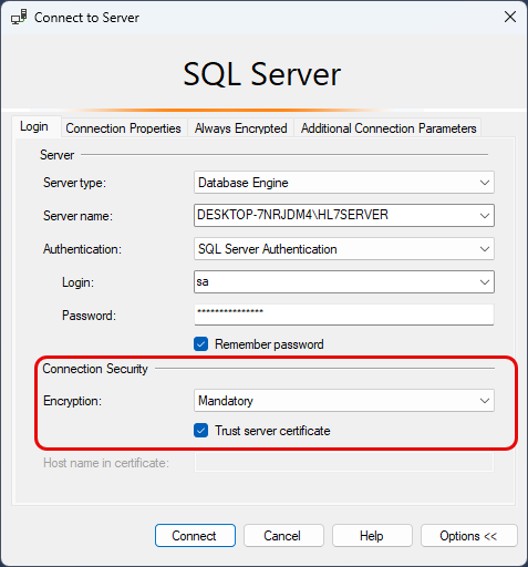 MS SQL Server Connect Screen